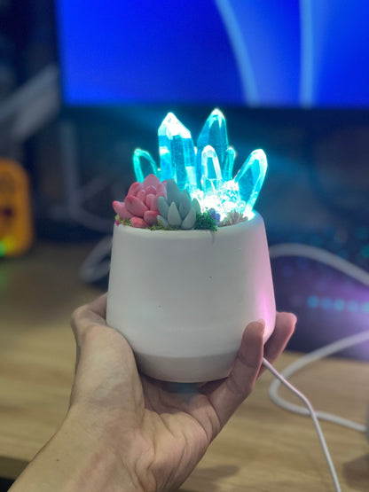 CRYSTAL POT LAMP